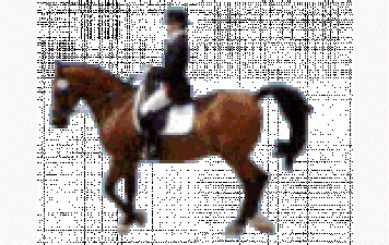 MGVELO, l'équitation et l'hippisme