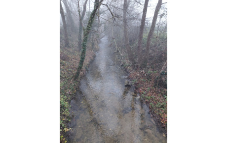 Mon édito du dimanche : La Meuzelle, un site à découvrir